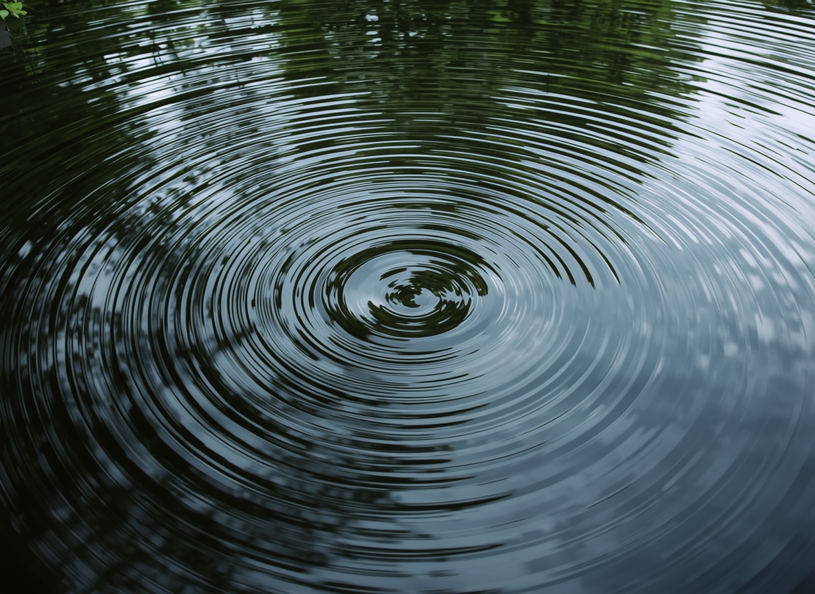 Concentric arcs suggesting gentle water movement